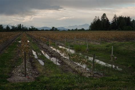 The flooding of Everson, Washington