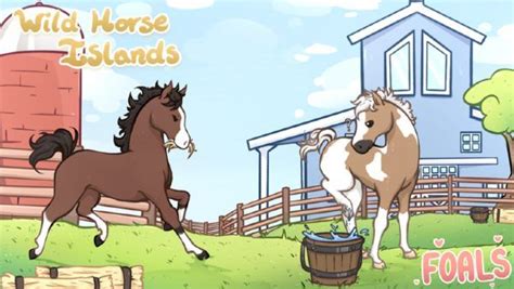 Wild Horse Islands Special Coats Guide (2024)