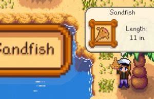 Stardew Valley Guide: Location of Sandfish - TheTech52