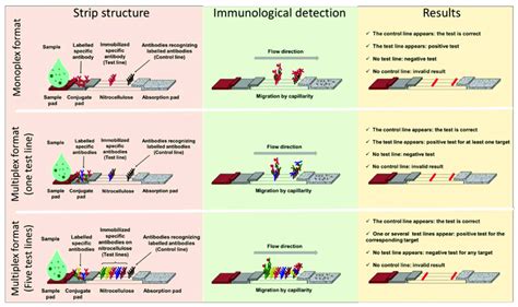 Lateral flow assay formats: components and principle. Presentation of ...