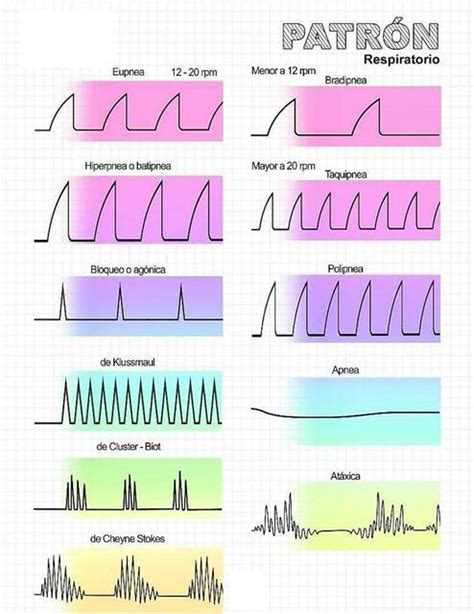 Patrón respiratorio | Mariangel Parada | uDocz