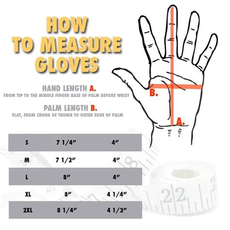 How to Measure Glove Size: Ultimate Glove Sizing Guide - Alpine Swiss