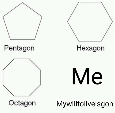 The best polygon : r/dankmemes