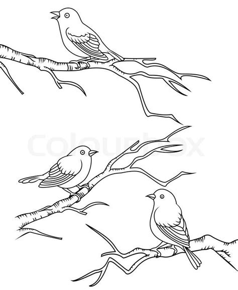 Branch drawing, Bird line drawing, Birds on tree drawing