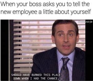 17 Bittersweet New Employee Memes For Office Use - SayingImages.com