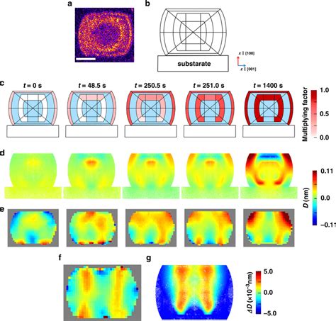 X-ray fluorescence microscopy and FEA results during propene... | Download Scientific Diagram