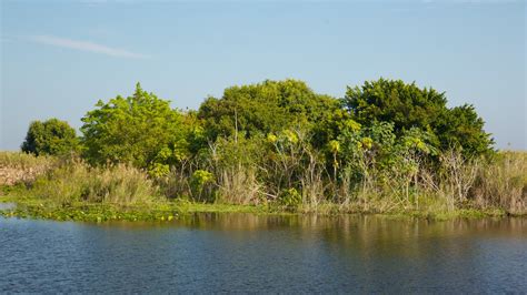 Visita Okeechobee: scopri il meglio di Okeechobee, Florida, nel 2022 ...