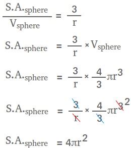 Surface Area of a Sphere - Definition, Derivation, and Examples