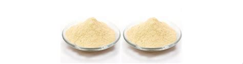 Yeast Powder - Dry Yeast Powder Latest Price, Manufacturers & Suppliers