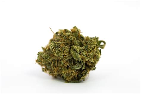 Bubba Kush Strain of Marijuana | Weed | Cannabis | Herb | Herb