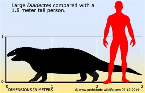 Блогът на valentint :: Encyclopedia Largest prehistoric animals Vol. 1 ...