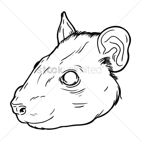 Rat Face Drawing at PaintingValley.com | Explore collection of Rat Face ...