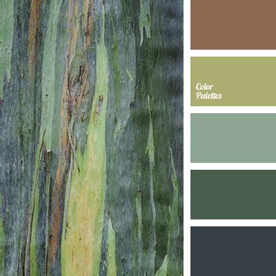 color of forest | Color Palette Ideas