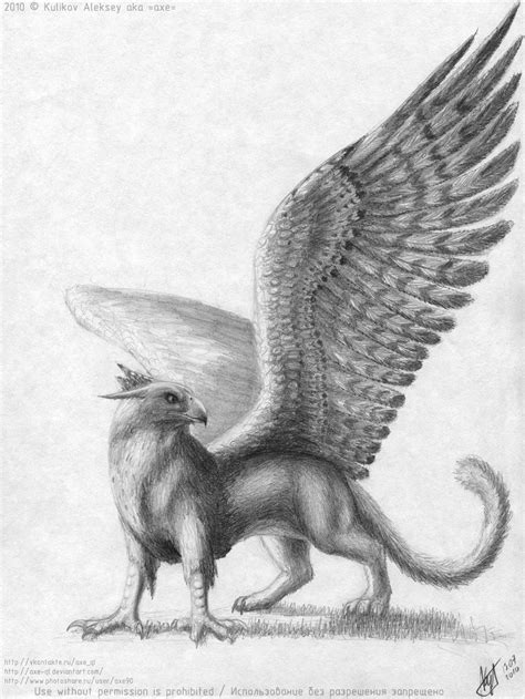 Mythical Griffin Drawing