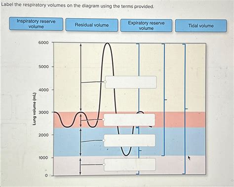 Label the respiratory volumes on the diagram using | Chegg.com