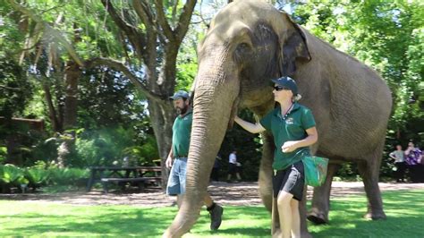 Perth Zoo Tickets | Get Flat 33% Off