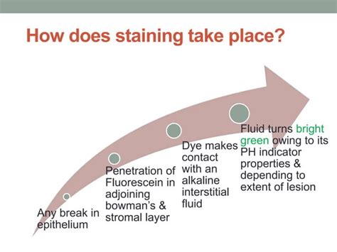 Corneal staining procedure