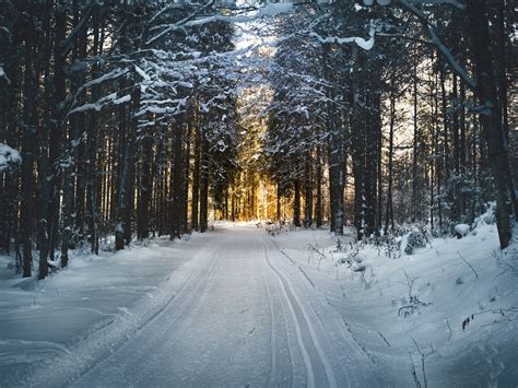 Safety Strategies for Your Winter Outdoor Activities