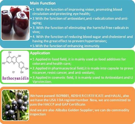 Anthocyanin/Anthocyanidin--UV 5%-25%,China D&N price supplier - 21food