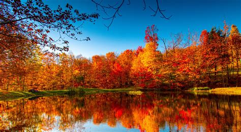 Where and when to see fall foliage across the US this year - The Points Guy