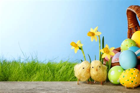 Ostern 5k Retina Ultra HD Wallpaper | Hintergrund | 5380x3586 | ID:496318 - Wallpaper Abyss