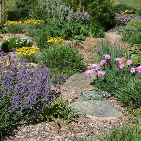 a garden filled with lots of different types of flowers