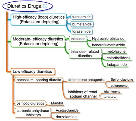 Diuretics drugs Flashcards | Quizlet