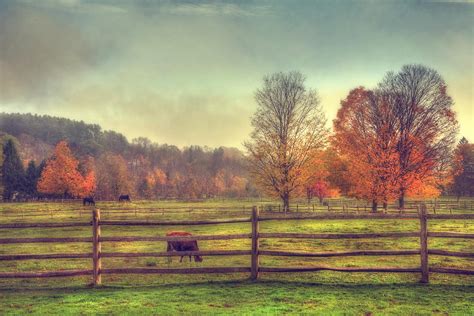 Vermont Farm in Autumn Photograph by Joann Vitali - Fine Art America