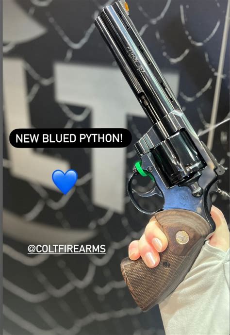 Some More Blue Python Pictures – Scattered Shots