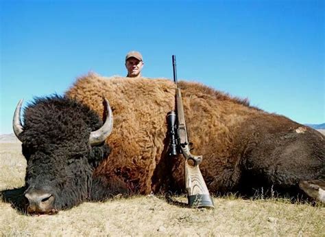 3-DAY BISON HUNT IN COLORADO FOR 1 HUNTER ON 200,000 ACRES OF PRIVATE LAND - WSF World Headquarters