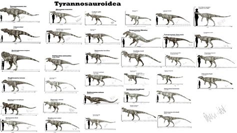 Tyrannosauroidea by Teratophoneus on DeviantArt