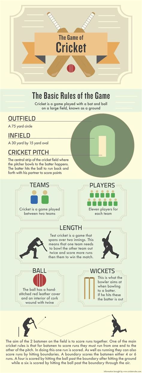 Rules of Cricket Infographic