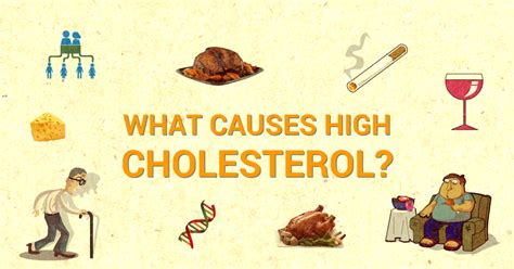 What Are The Causes Of High Blood Cholesterol | CircleCare