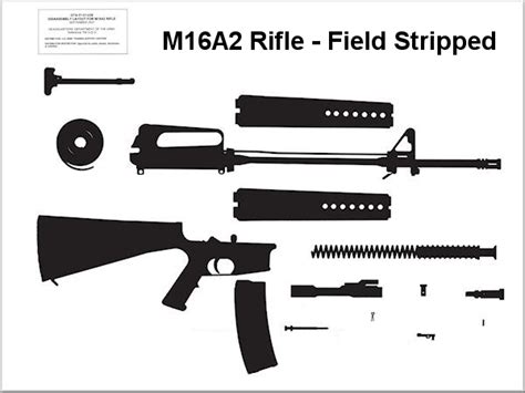 M16A2 Rifle Parts - Field Stripped Diagram | Quizlet