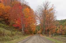 Fall Foliage in the PA Grand Canyon.