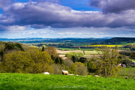 Golden Valley Herefordshire - UK Landscape Photography