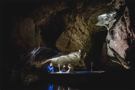 Te Anau: Glowworm Caves Guided Tour | GetYourGuide