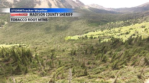 Microburst damage in the Tobacco Root mountains Sunday