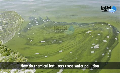 How do chemical fertilizers cause water pollution