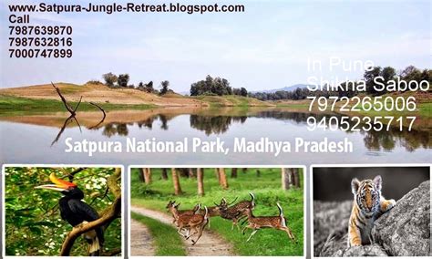 Satpura jungle lodge tariff, hotels in satpura national park, resorts ...