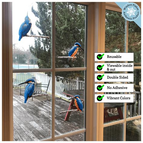 Anti-Collision Window Clings Prevent Window Strikes - Kingfisher Birds – Window Flakes