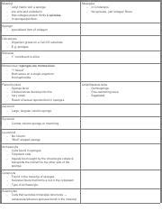 Understanding the Structure and Functions of Mesohyl, Mesoglea ...