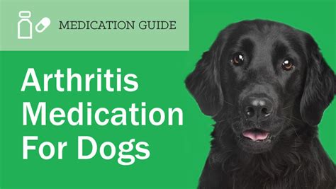 Prescription Arthritis Medications for Dogs | EntirelyPets