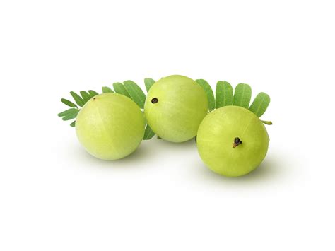 Indian gooseberry Phyllanthus emblica amla fruits green transparent background 24849146 PNG