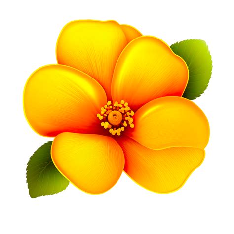 Flower Drawing Images With Colour | Best Flower Site