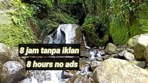 suara air mengalir di sungai di hutan selama 8 jam tanpa iklan - YouTube