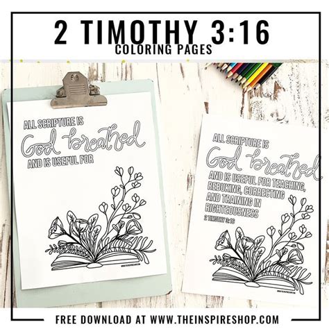 2 Timothy 3:16 Coloring Pages | Coloring pages, 2 timothy, Color