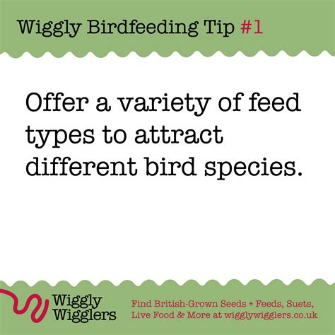 Wiggly Birdfeeding Tip #1 – Wiggly Wigglers