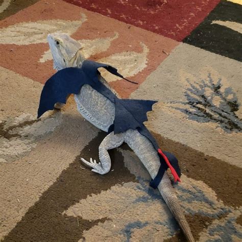 Lizard Costume - Etsy