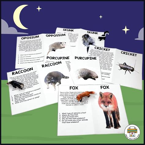 Nocturnal Animals Lesson Planning Page - Pre-K Printable Fun